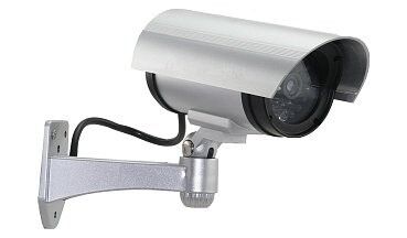 Муляж уличной видеокамеры с ИК подсветкой Орбита OT-VNP34, серебро