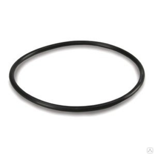 Прокладка (уплотнительное кольцо) ВВ для корпусов PBH (151122) 