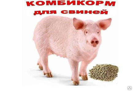 Комбикорм КК-58/1 (свиней жирных кондиций)