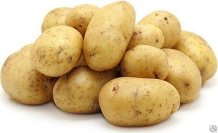 Купить картофель, картофель оптом, картофель от производителя#