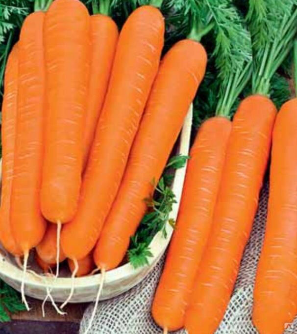 Морковь продовольственная в сетке